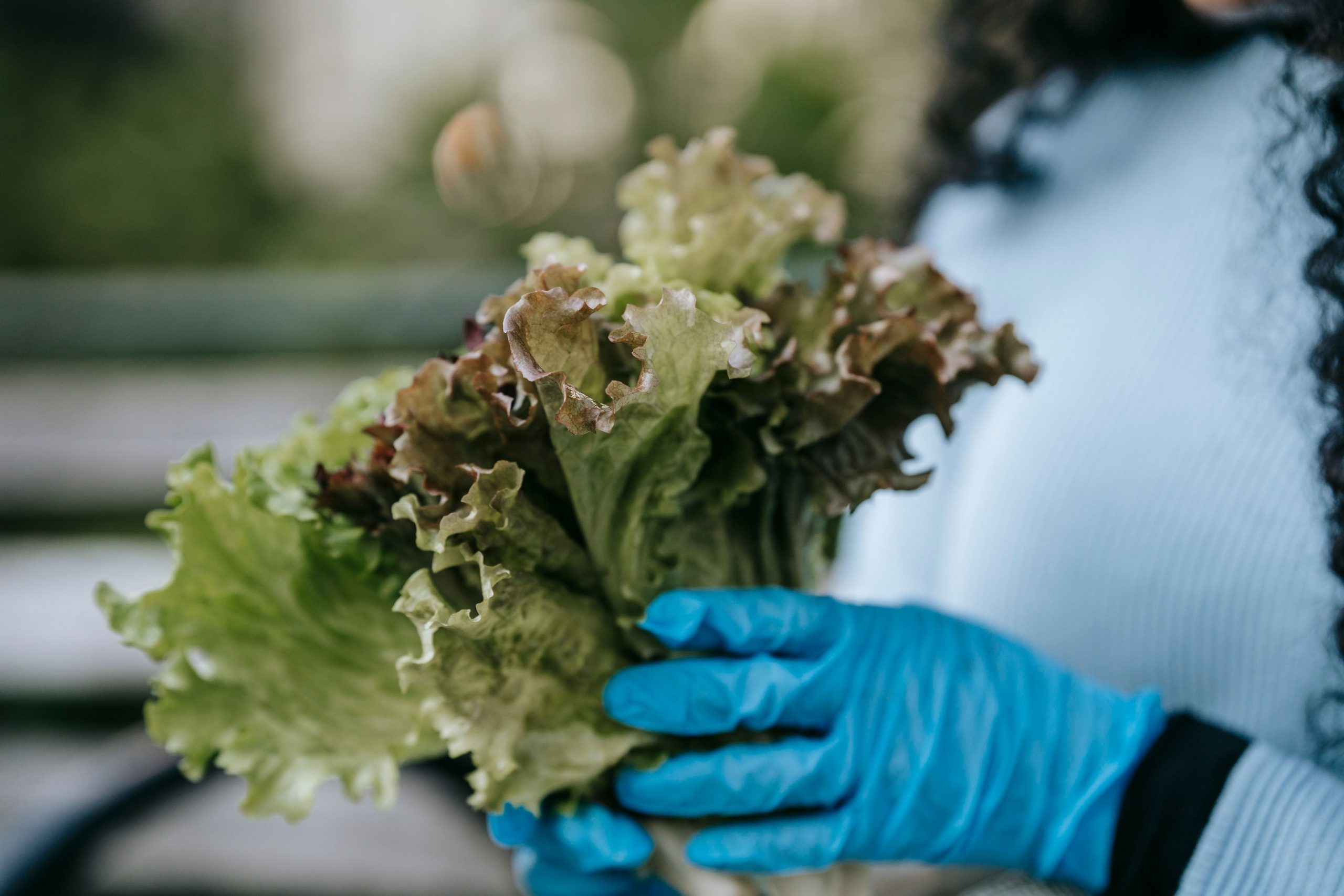 How to Stay Safe and Informed About the Cyclosporiasis Outbreak